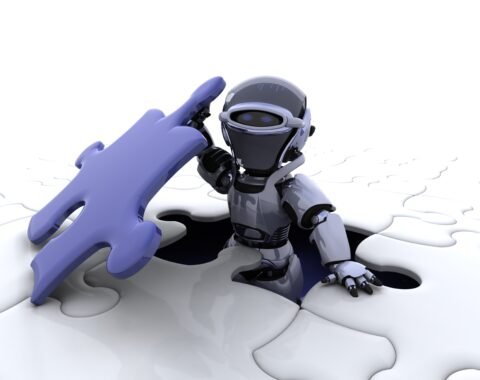 Robots.txt in Wordpress